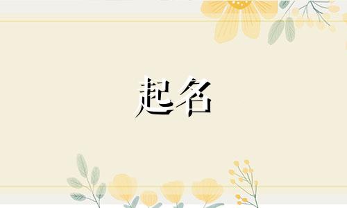 起名字需要看哪些字数