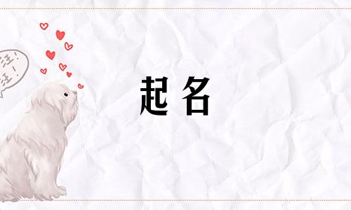 被称起名鬼才的人有哪些