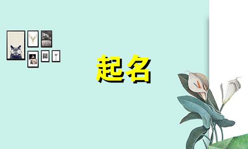 兔年适合起名用字有哪些