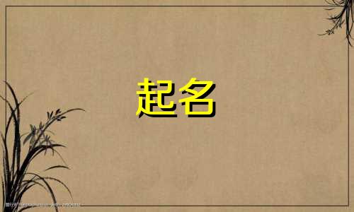 用也许起名的菜有哪些