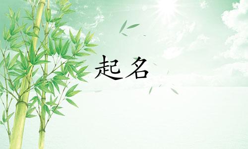 兔子起名最好的字有哪些