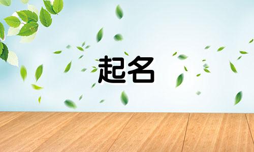 起名典籍有哪些书名好记