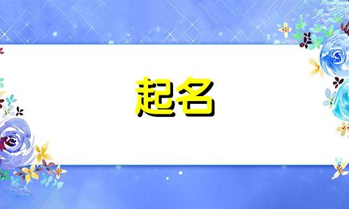 府城宝宝起名的地方有哪些