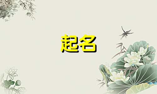 网文起名书籍有哪些好听