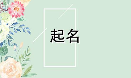 网络起名谐音梗有哪些字