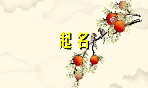女孩起名哪些字好看点的