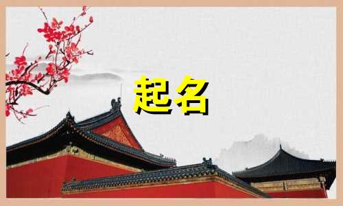小队起名好听的名字有哪些
