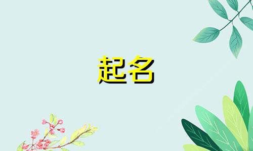 起名轮滑俱乐部有哪些品牌