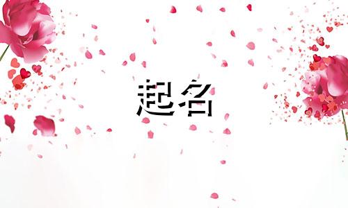 起名的搞笑故事名字有哪些