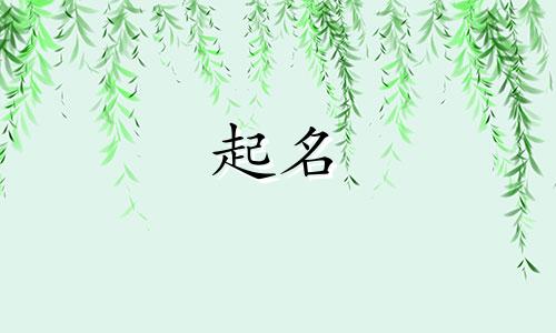 男孩起名最灵的字有哪些