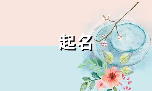 内衣品牌起名欧式字母有哪些