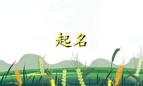玉字起名的成语有哪些
