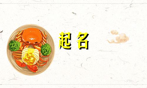 慈善项目的起名方法有哪些