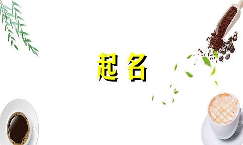 宠物起名甜甜的名字有哪些