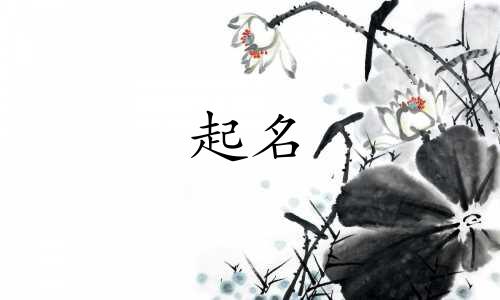 以山水起名家具有哪些