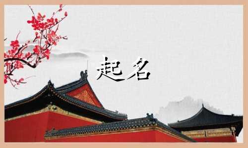 网站起名风格有哪些特点