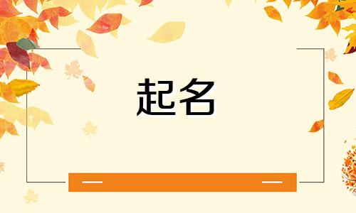 起名米字旁的字有哪些