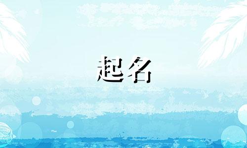 女宝起名用语有哪些字体