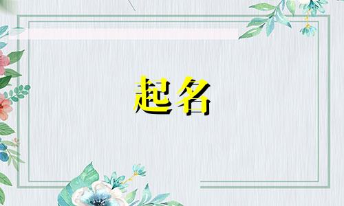 分公司起名规则有哪些名字