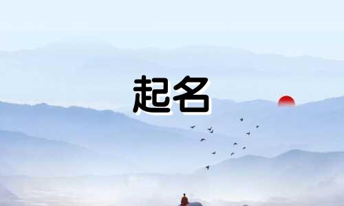 网红起名前缀有哪些字体