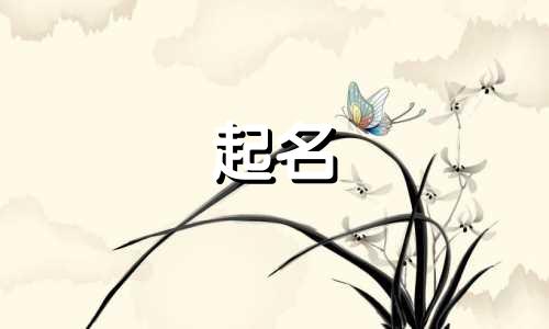 起名过程的故事有哪些书