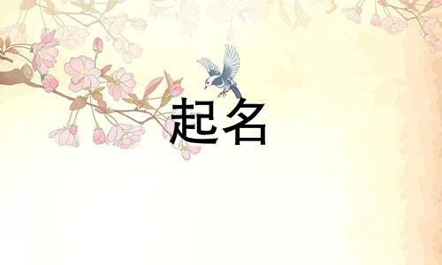 毛起名女孩名字有哪些字