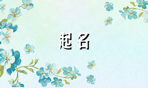 起名制度有哪些内容和要求