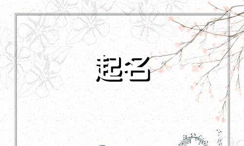 宋女孩起名搞笑名字有哪些