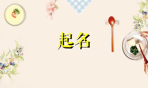 不会起名的天才有哪些名字