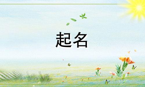 免费起名打分测试软件有哪些