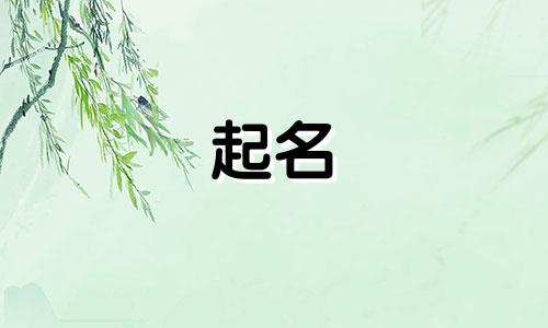 苏轼的起名艺术有哪些呢
