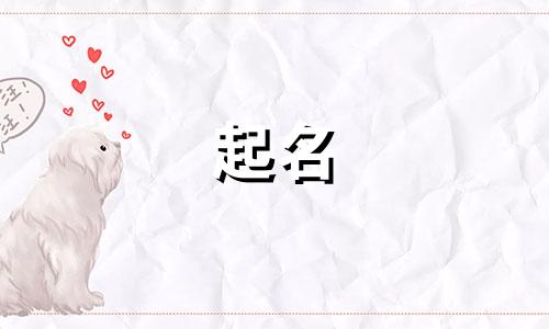 奶茶起名好记的有哪些名字
