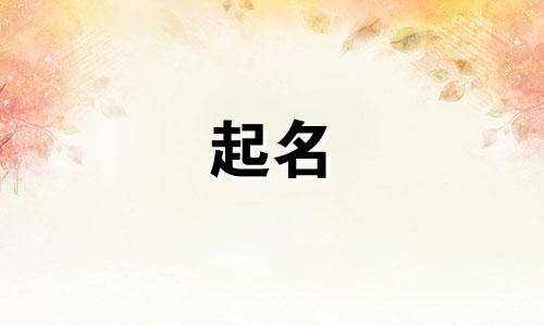 兔宝宝起名吉字有哪些