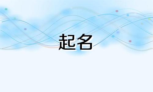 公司起名的行业有哪些类型