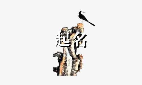 男孩起名有哪些字辈好听