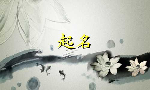 装修公司起名字有哪些