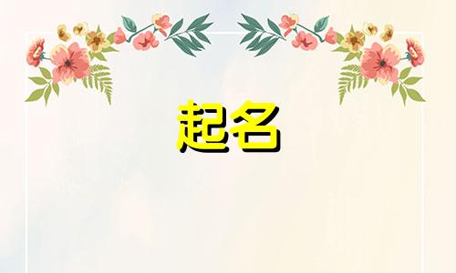 产品的起名标准有哪些字母