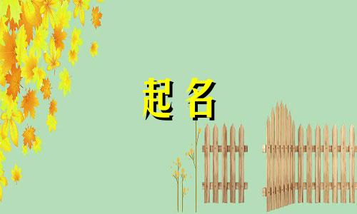 起名看哪些书好听的网名
