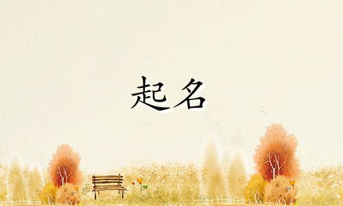 公司起名可以用哪些字号