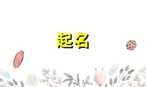 风景照片起名通用字有哪些