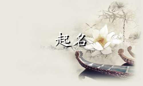 企业号起名原则有哪些要求