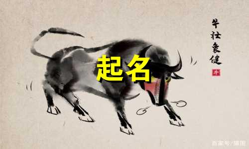 属猪人起名忌用字有哪些