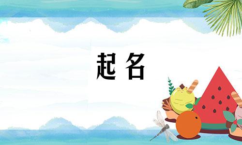 起名的称呼有哪些字母组成