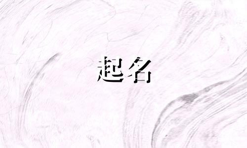 分公司起名规则有哪些内容