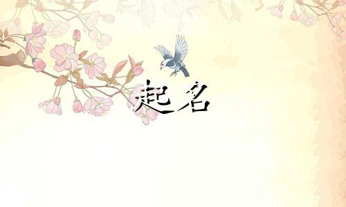 女孩的名字起名技巧有哪些