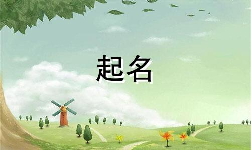美业公司起名用哪些字