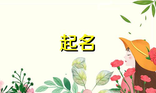 海南旅居房产起名公司有哪些