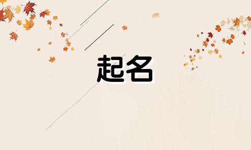 上海起名机构有哪些地方