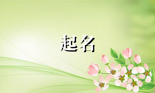 起名四画字都有哪些字