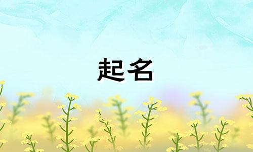 根据老大起名的名字有哪些